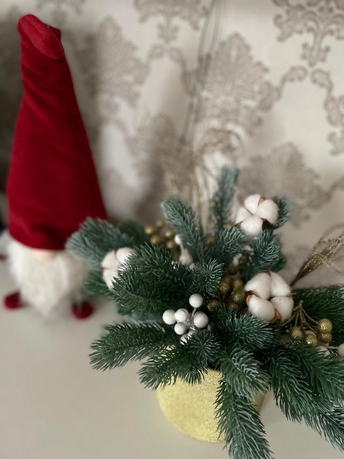 Apartment центр міста Kamianets-Podilskyi