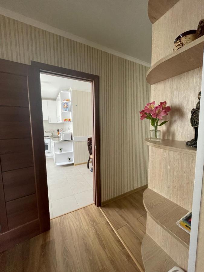 центр міста Apartment Kamianets-Podilskyi